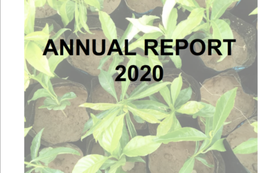 Annual Report 2020