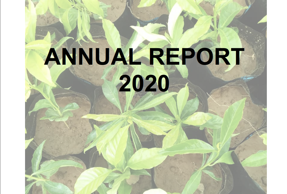 Annual Report 2020