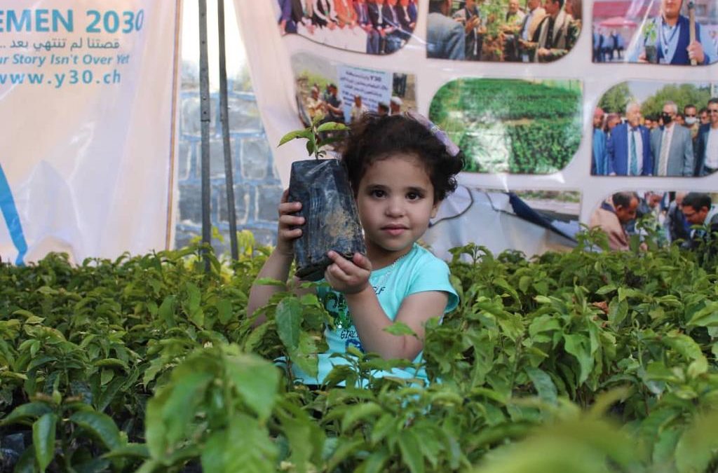 Yemeni National Coffee Day — 2022 edition