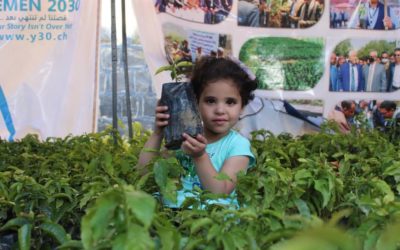 Yemeni National Coffee Day — 2022 edition