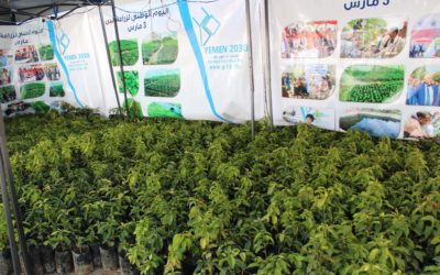 Nurseries of Hope Update