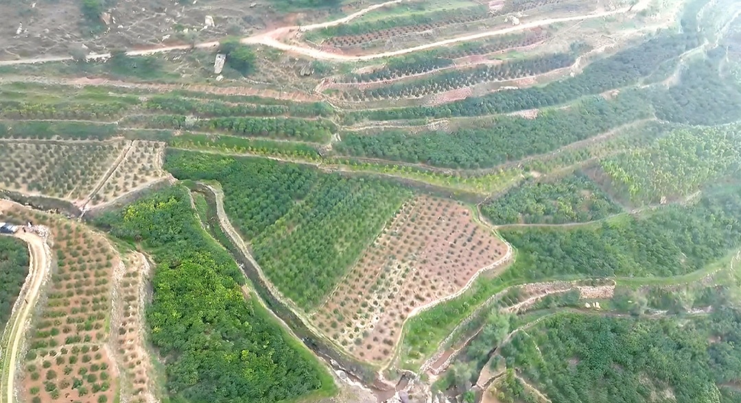 Rain in mountainous regions of Yemen