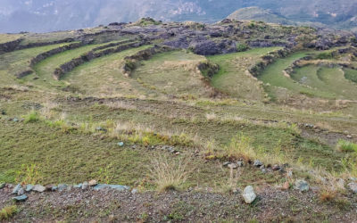 Agricultural Terraces in Haraz