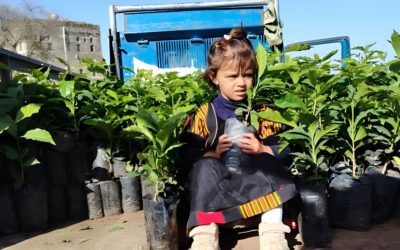 “For Sustainable Livelihoods: Y30 Supports Coffee Farmers in Rural Sanaa”