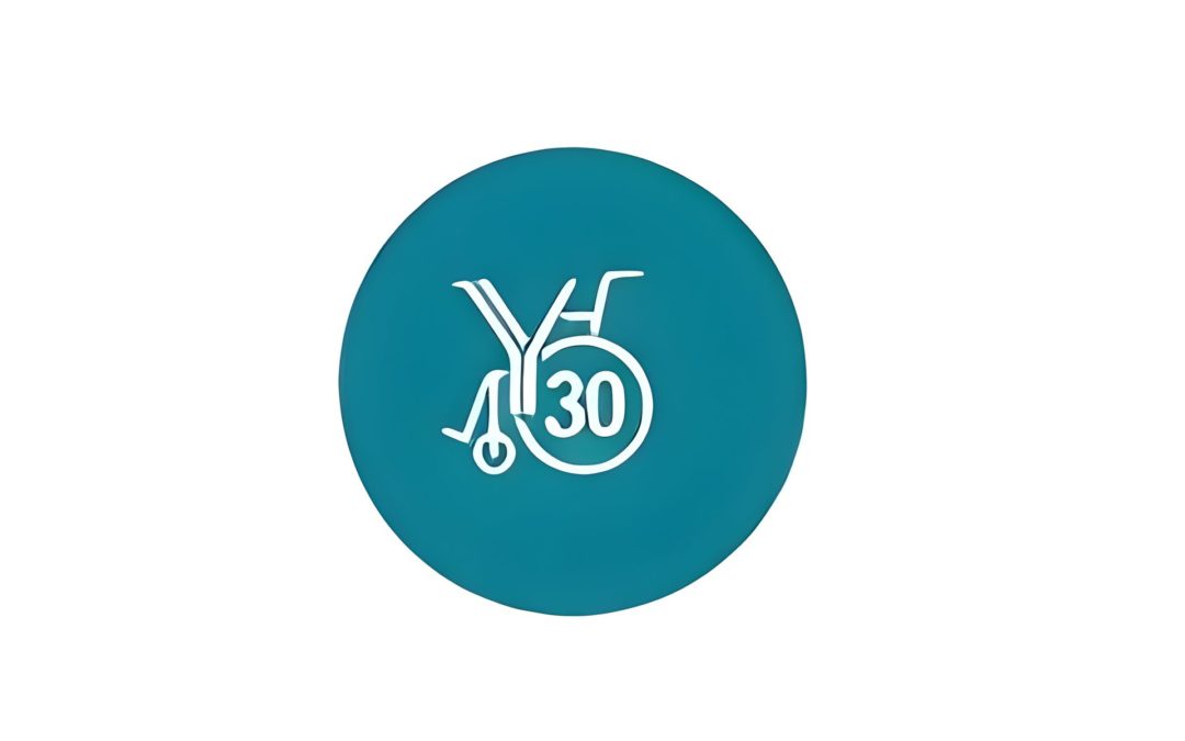 Y30 Handicap Application. Digital Support for People with Disabilities